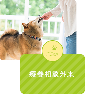 療養相談外来
